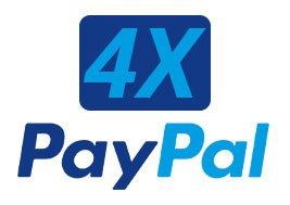 PaypalX4-original-original.jpg