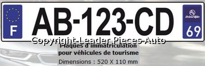Plaque d'Immatriculation Voiture en Plexiglass avec logo Régional pour  Voiture 520 X 110 mm . Livré avec jeu de Rivets Blancs - LPA - Pièces  Détachées Automobile